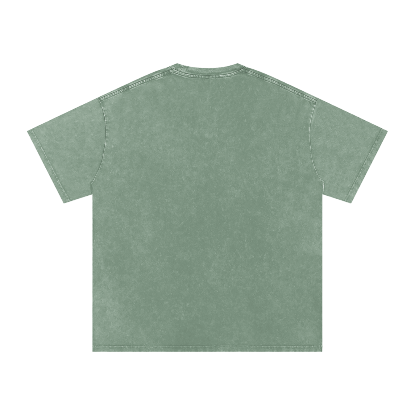 Avant Hyrax of the Western Noveau Gaelic Bordered Rock Unisex t-shirt Snow Washed Oversized Cotton T-Shirt