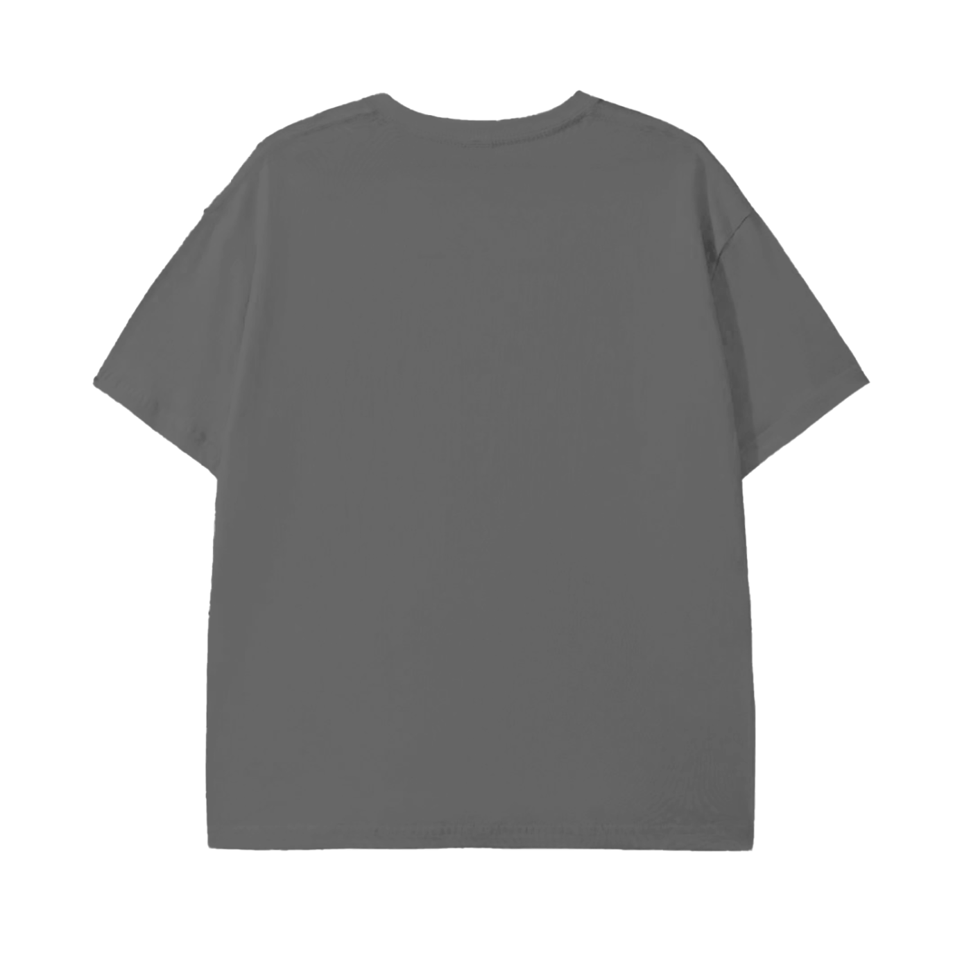 Anime Hyrax Blue skies basking on Rocks in field Pure Cotton Festival Rave Unisex T-Shirt