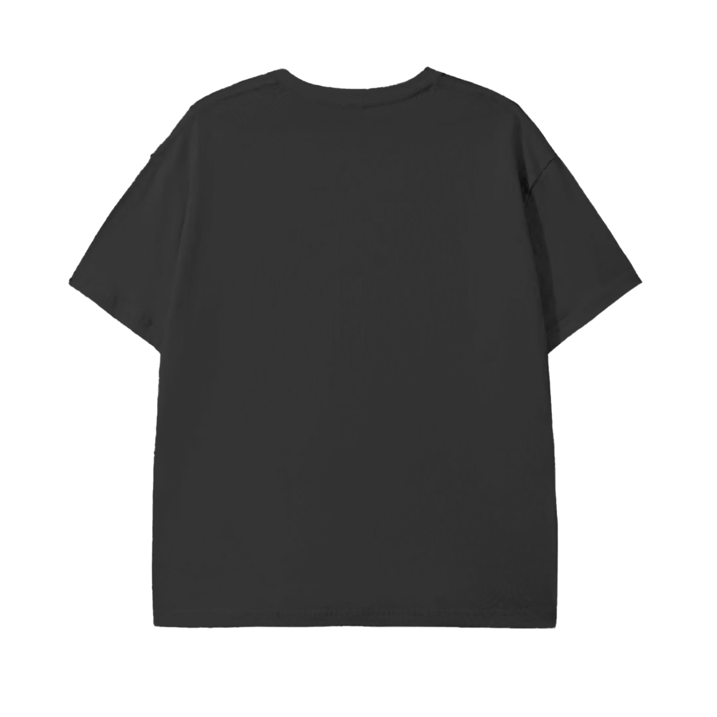 Anime Hyrax Blue skies basking on Rocks in field Pure Cotton Festival Rave Unisex T-Shirt